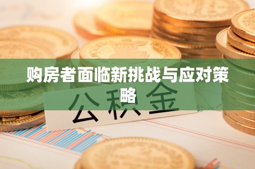 安化购房者面临新挑战与应对策略