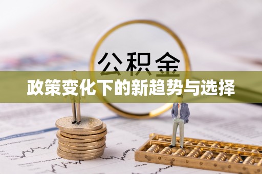 安化政策变化下的新趋势与选择