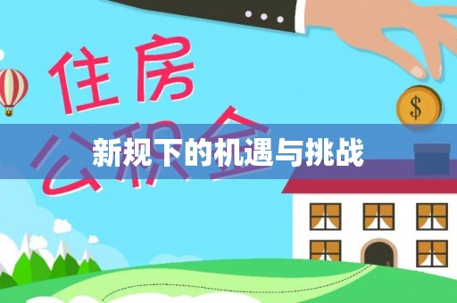 安化新规下的机遇与挑战