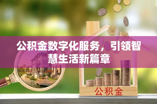 安化公积金数字化服务，引领智慧生活新篇章