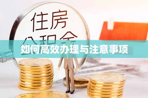 安化如何高效办理与注意事项