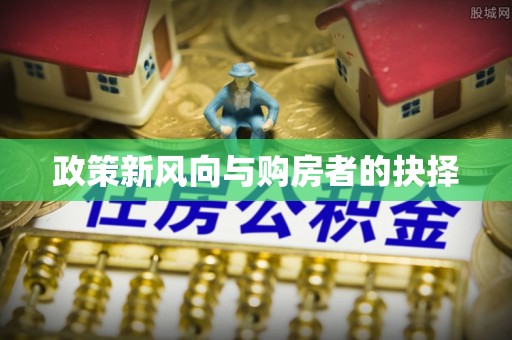 安化政策新风向与购房者的抉择