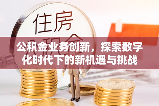 安化公积金业务创新，探索数字化时代下的新机遇与挑战
