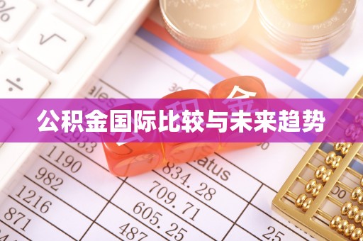 安化公积金国际比较与未来趋势