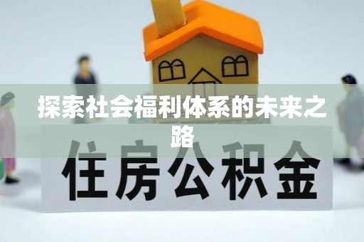 安化探索社会福利体系的未来之路