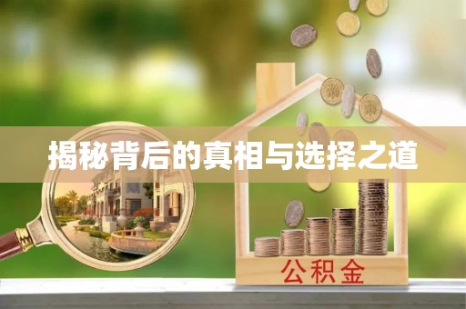 安化揭秘背后的真相与选择之道