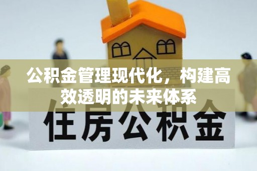 安化公积金管理现代化，构建高效透明的未来体系