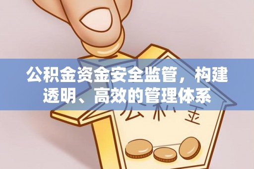 安化公积金资金安全监管，构建透明、高效的管理体系