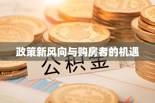 安化政策新风向与购房者的机遇