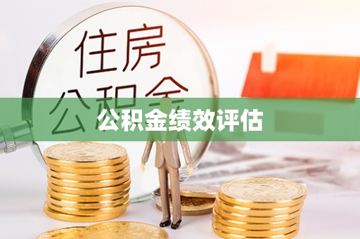 安化公积金绩效评估