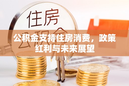 安化公积金支持住房消费，政策红利与未来展望