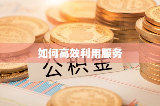 安化如何高效利用服务