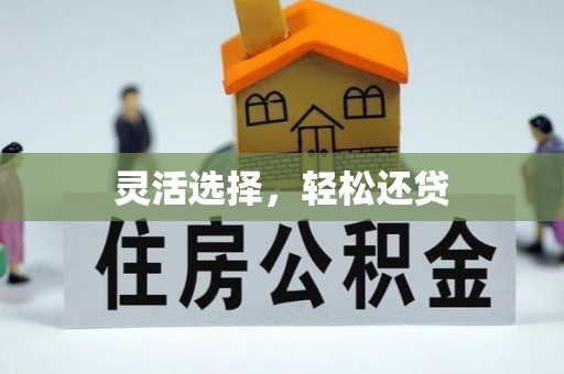 安化灵活选择，轻松还贷