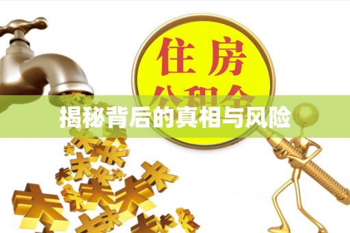 安化揭秘背后的真相与风险