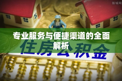 安化专业服务与便捷渠道的全面解析