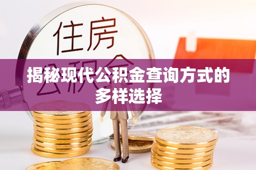 安化揭秘现代公积金查询方式的多样选择