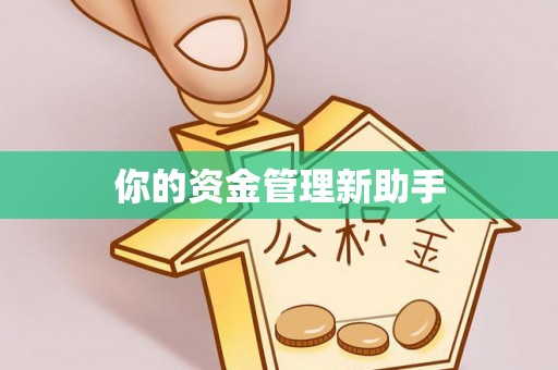 安化你的资金管理新助手