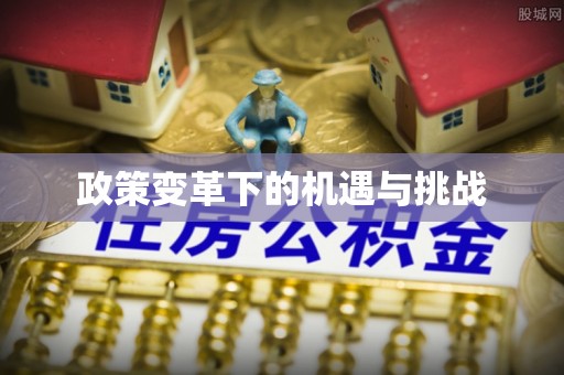 安化政策变革下的机遇与挑战