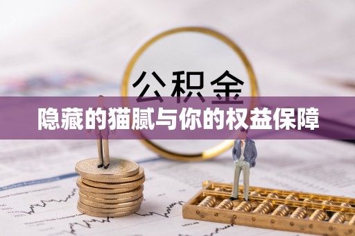 安化隐藏的猫腻与你的权益保障