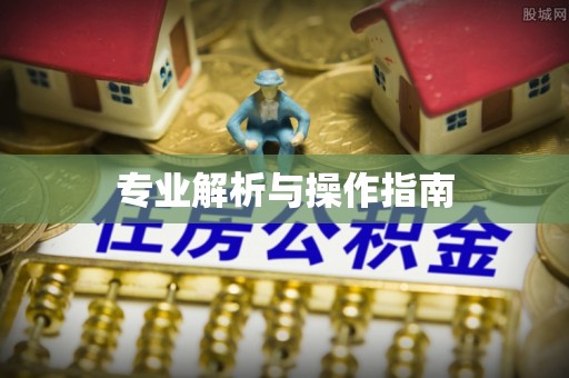 安化专业解析与操作指南