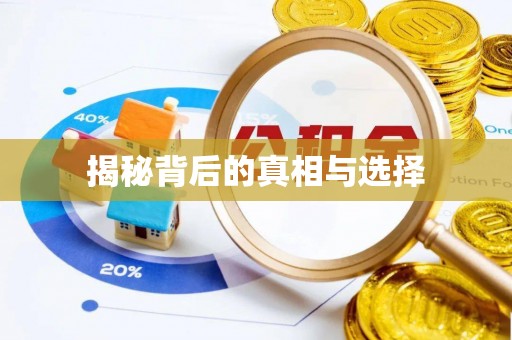 安化揭秘背后的真相与选择