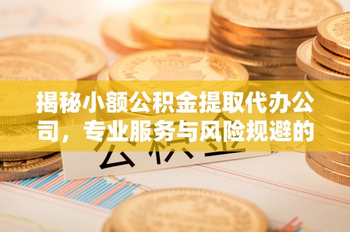 安化揭秘小额公积金提取代办公司，专业服务与风险规避的平衡艺术