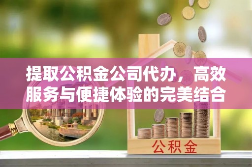 安化提取公积金公司代办，高效服务与便捷体验的完美结合