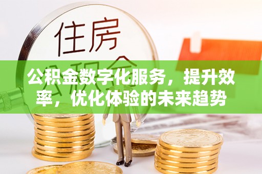 安化公积金数字化服务，提升效率，优化体验的未来趋势