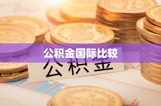 安化公积金国际比较
