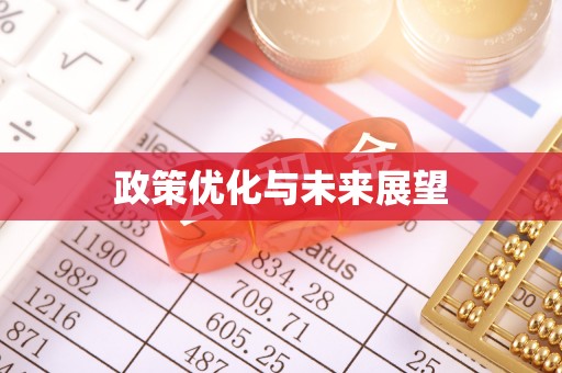 安化政策优化与未来展望