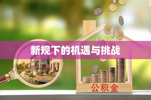 安化新规下的机遇与挑战