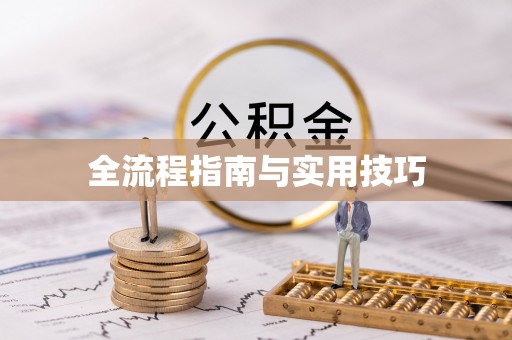 安化全流程指南与实用技巧