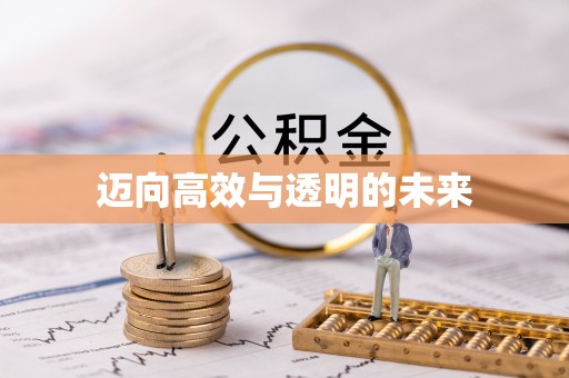 安化迈向高效与透明的未来