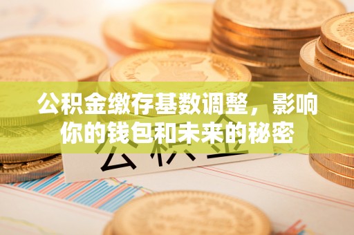 安化公积金缴存基数调整，影响你的钱包和未来的秘密
