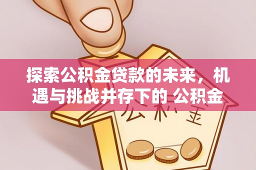 安化探索公积金贷款的未来，机遇与挑战并存下的 公积金贷款风险防控