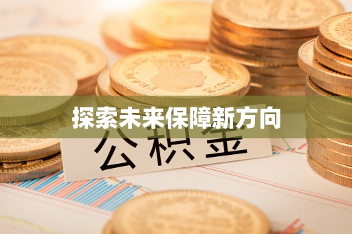 安化探索未来保障新方向