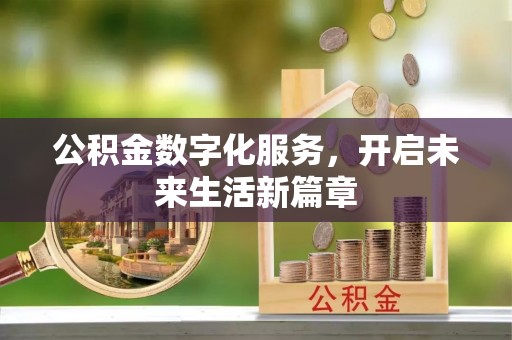 安化公积金数字化服务，开启未来生活新篇章