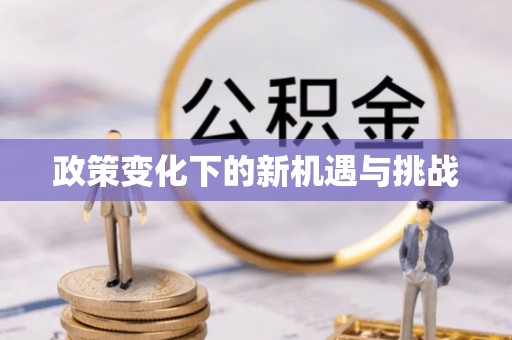 安化政策变化下的新机遇与挑战