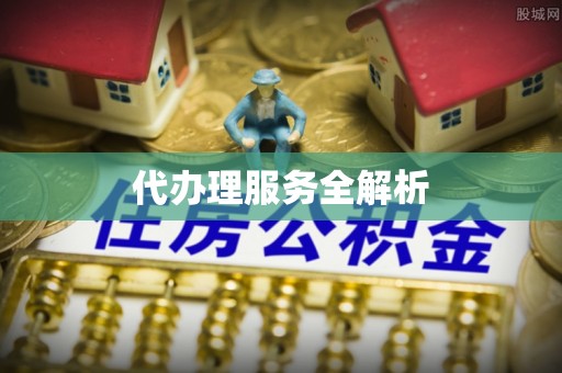安化代办理服务全解析
