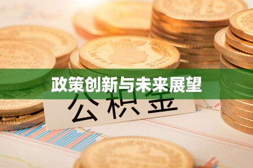 安化政策创新与未来展望