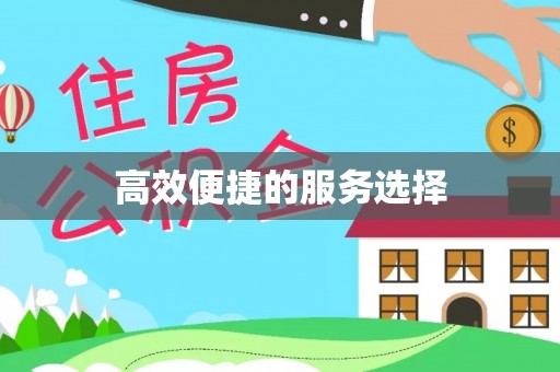 安化高效便捷的服务选择
