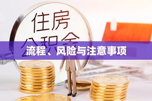 安化流程、风险与注意事项